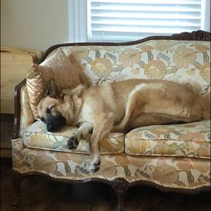 Meet your Posher, Joanne